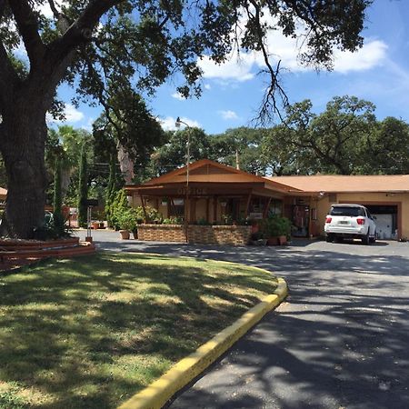 Walnut Forest Motel Austin Bagian luar foto
