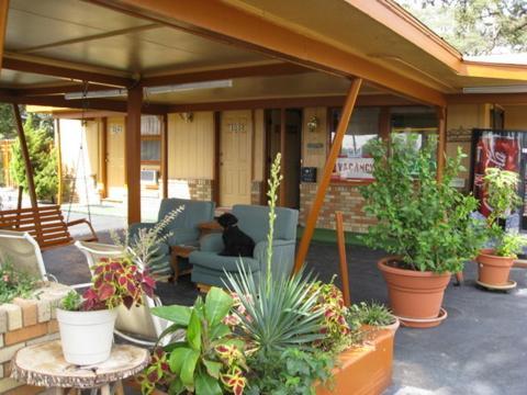 Walnut Forest Motel Austin Bagian luar foto